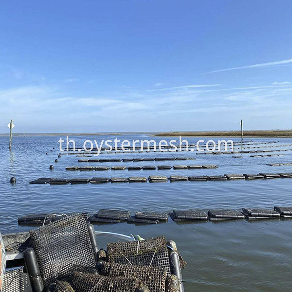 Black HDPE Float for Oyster Bag Usage